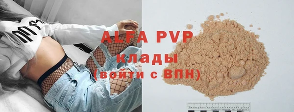 ПСИЛОЦИБИНОВЫЕ ГРИБЫ Сосновый Бор