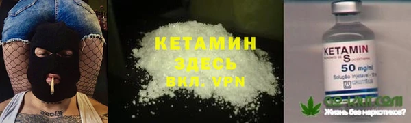 ПСИЛОЦИБИНОВЫЕ ГРИБЫ Сосновый Бор