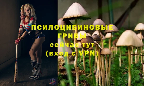 ешки Баксан