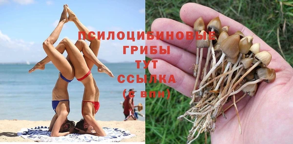PSILOCYBIN Белоозёрский