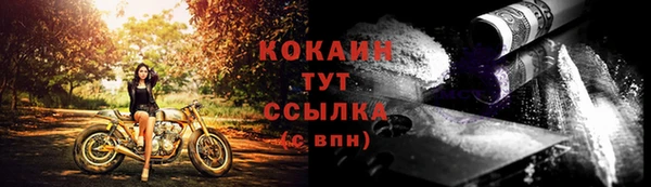 индика Богданович
