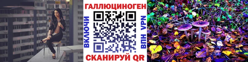 Псилоцибиновые грибы Psilocybe  где купить наркоту  Великие Луки 