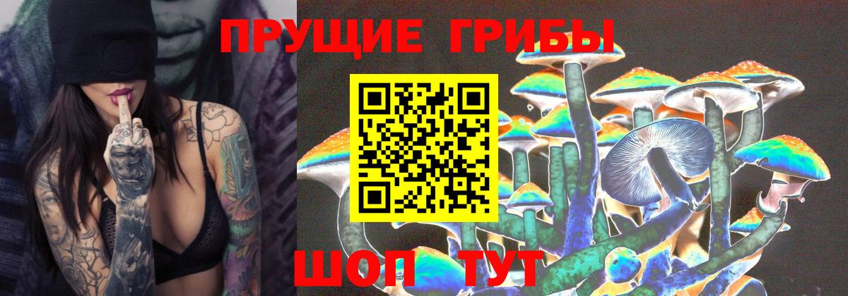 купить закладку  Псилоцибиновые грибы мухоморы  Вход с VPN  Великие Луки 