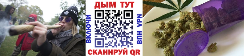 Конопля планчик  Великие Луки 